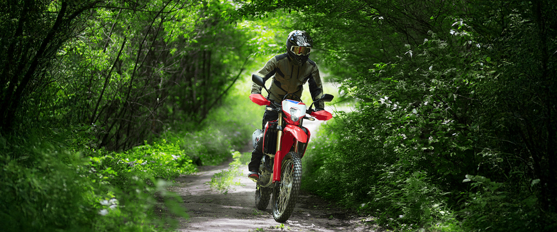 Lifestyle Banner 1